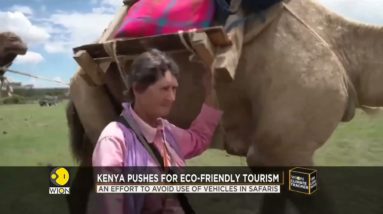 Kenya pushes for eco-friendly tourism: Animal Safaris touted as better option for environment