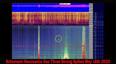 Schumann Resonance Spiking Hard May 16th 2022!