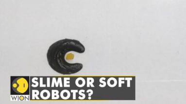 Slime or Soft Robots? Chinese University of Hong Kong develops slime robots | WION