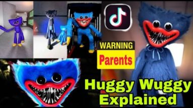 Huggy Wuggy Video - What is Huggy Wuggy on TikTok? Videos Prompt Police Warning to Parents || WTN ||