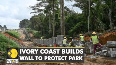 Ivory coast builds wall to protect park: Strategy to safeguard the endangered park | English News