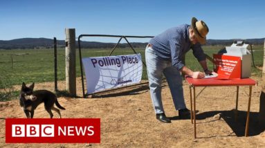 Australia election: Durack, a seat six times bigger than Britain - BBC News