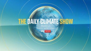 Watch live: The Daily Climate Show