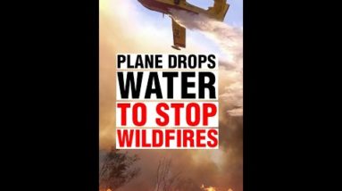 Wildfires rage in New Mexico, plane used shower water | WION Shorts