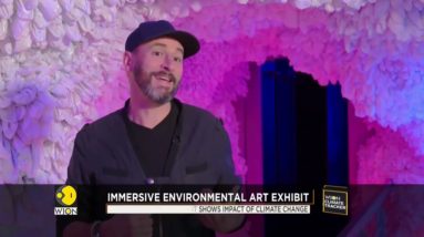 Augmented reality exhibit in New York shows impact of climate change | WION Climate Tracker