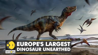 A dinosaur that lived 125 million years ago: Europe's largest dinosaur unearthed | English News