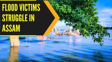 Flood victims in Assam struggle for livelihood | WION Originals | National News | State News