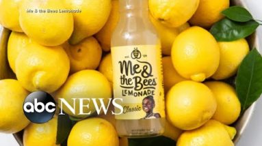 A bee-licious lemonade