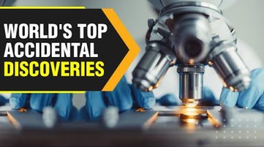 Five accidental inventions that changed the world | WION Originals | World News