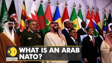 What is an Arab NATO? Does West Asia need an Arab NATO? | World Latest English News | WION