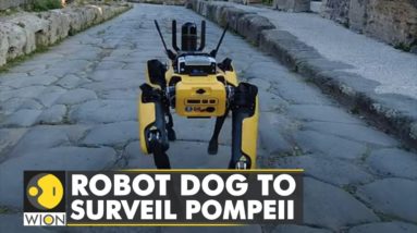 Italy: Robot Dog to be archaeologists' companion to surveil Pompeii | World News | English News