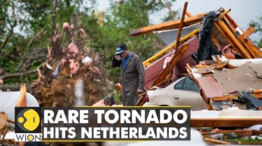 Rare tornado leaves one dead in Netherlands | WION Climate Tracker | Latest English News