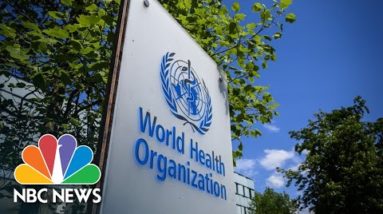 WHO Meets To Determine If Monkeypox Is A Global ‘Public Health Emergency’