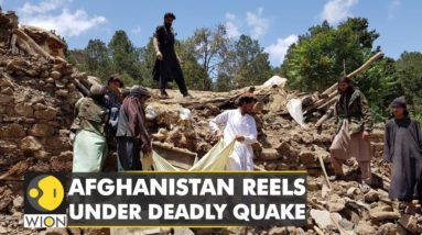 UN: Death toll of children rises to 155 in Afghanistan earthquake | Latest English News | WION