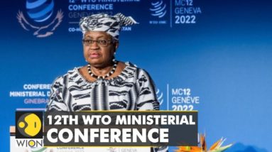 12th WTO Ministerial conference: Looming food crisis on the agenda | Can WTO unblock bottlenecks?