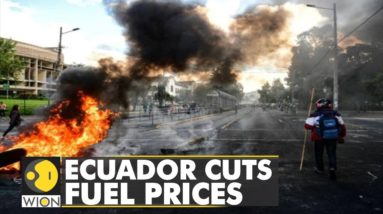 Ecuador cuts fuel prices to quell anti-govt protests | Latest World News | English News | WION