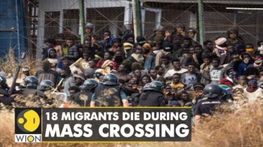 18 migrants die in mass attempt to reach Spain's Melilla | International News | English News | WION