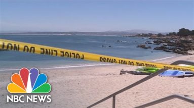 Swimmer Injured In California Shark Attack