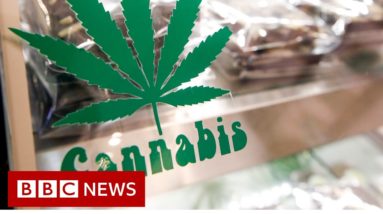 Thailand legalises cannabis growing and trade - BBC News