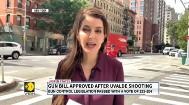 US: Gun control bill approved after Buffalo, Uvalde Attacks | World Latest News | WION