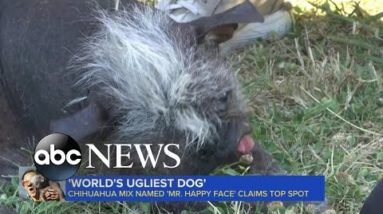 ‘Ugliest Dog’ winner