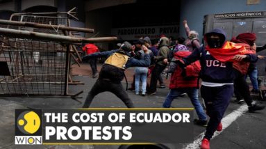 Ecuador: Fuel price cut lower than demands | Oil production at critical level | World News | WION