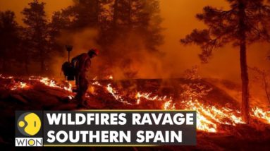 Wildfire in southern Spain forces town evacuation; three injured | WION Climate Tracker