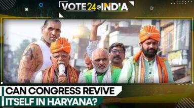 India General Elections: Single-phase polling in Haryana on May 25 | India News | WION