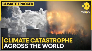 Climate change: World faces extreme weather conditions | WION Climate Tracker