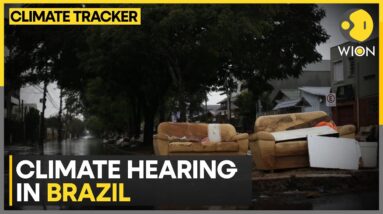 Brazil: 165 organisations part of hearing | WION Climate Tracker