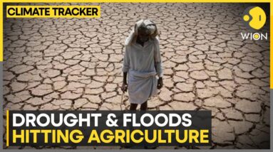 Climate change causing world hunger | WION Climate Tracker