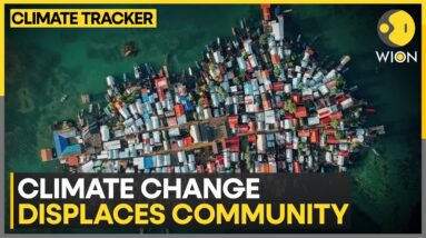 Climate change displaces community in Panama | WION Climate Tracker