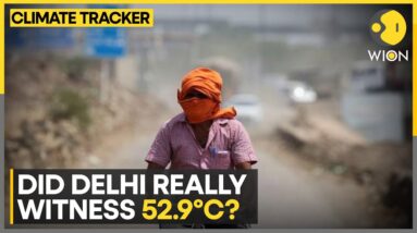 Delhi heatwave: IMD says reading a sensor 'error' | WION Climate Tracker