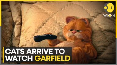 Dubai mall Kitty Party: Cats arrive to watch 'The Garfield Movie' | WION