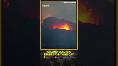 Iceland volcano erupts for third day | WION Shorts