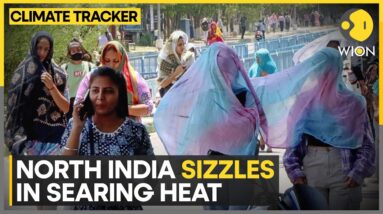 India grappling with sweltering heat | WION Climate Tracker