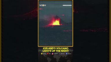 A stream of lava continued to flow throughout the night from an Iceland volcano | WION Shorts