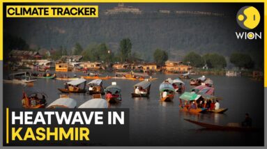 Heatwave in India's Kashmir, valley's high temperatures disappoint tourists | WION Climate Tracker