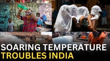 India: As temperature continues to soar, hospitals report spike in heat-related illnesses | WION