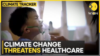 Low-lying Caribbean hospitals face imminent risk due to climate change | WION Climate Tracker