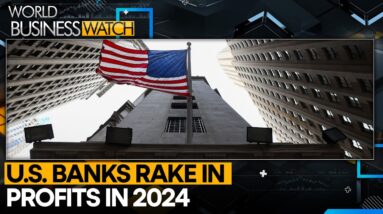 US bank profits surge 79.5% to $64.2 billion in Q1 2024 | World Business Watch | WION