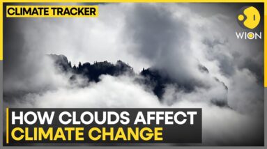 Satellite to study how clouds affect climate | WION Climate Tracker