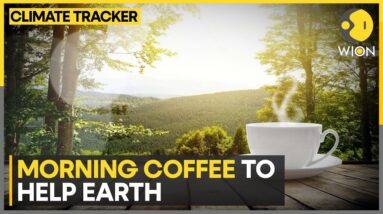 Turning coffee grounds into sustainable concrete | WION Climate Tracker