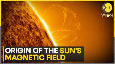 Unveiling the origin of the sun's magnetic field | Latest News | WION