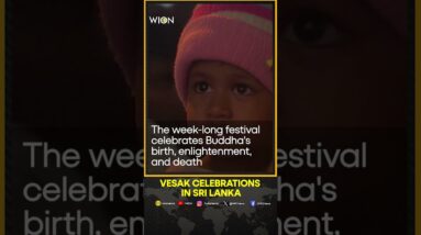 Week-long Vesak celebrations start in Sri Lankan capital | WION Shorts