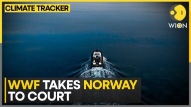 WWF calls Norway's sea-bed mining 'destructive' | WION Climate Tracker