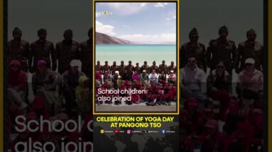 International Yoga Day 2024: Indian Army troops celebrate Yoga Day at Pangong Tso | WION Shorts