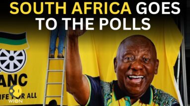 South Africa elections 2024: South African election 2024 counting LIVE | South Africa news LIVE |