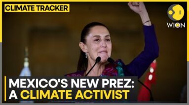 Mexico elects Sheinbaum as first woman president | A climate activist | WION Climate Tracker | WION