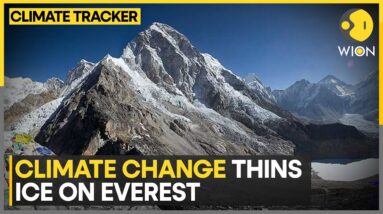 Melting ice due to climate change unmasks Everest's hidden tragedies | Climate Tracker | WION